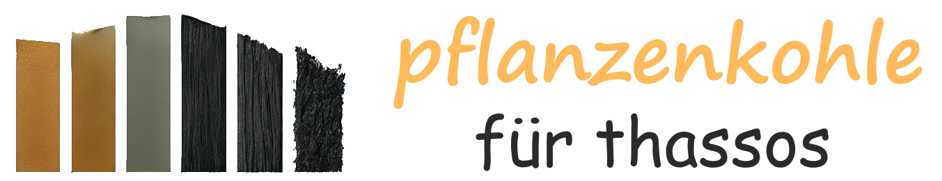 Logo Chatgpt V3 Trans Orange DE